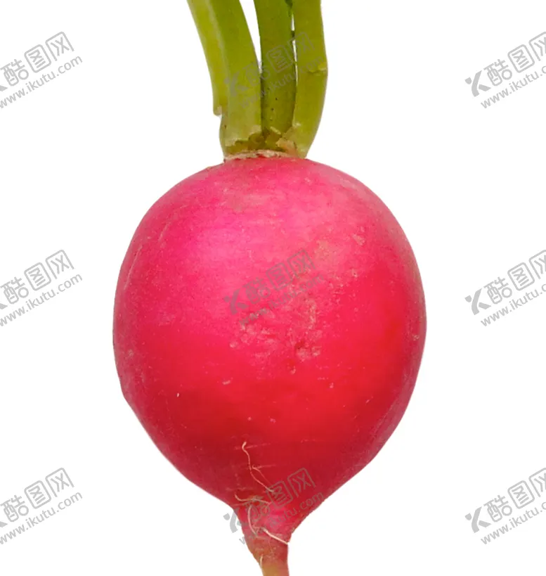 编号：36949206250105065118【酷图网】源文件下载-萝卜