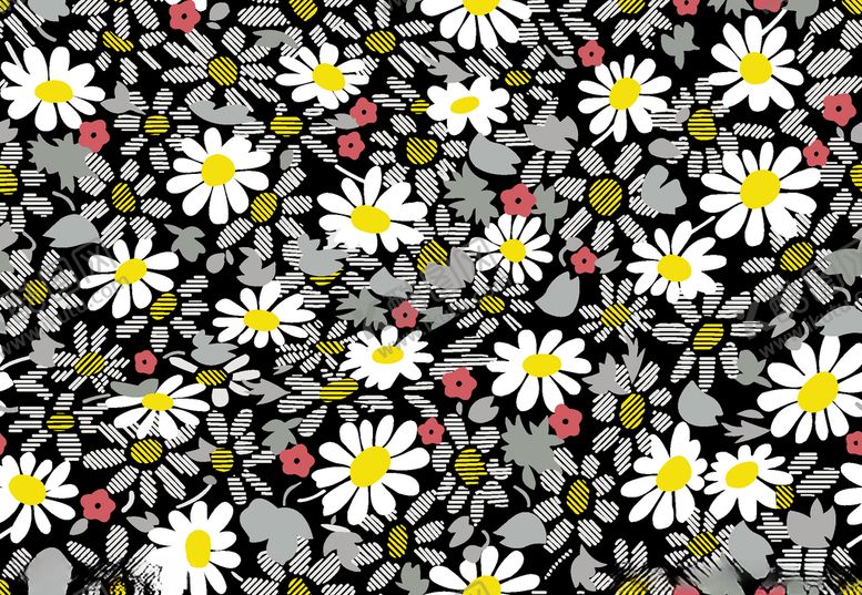 编号：84363712281745317395【酷图网】源文件下载-小雏菊