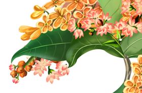 手绘花朵树叶