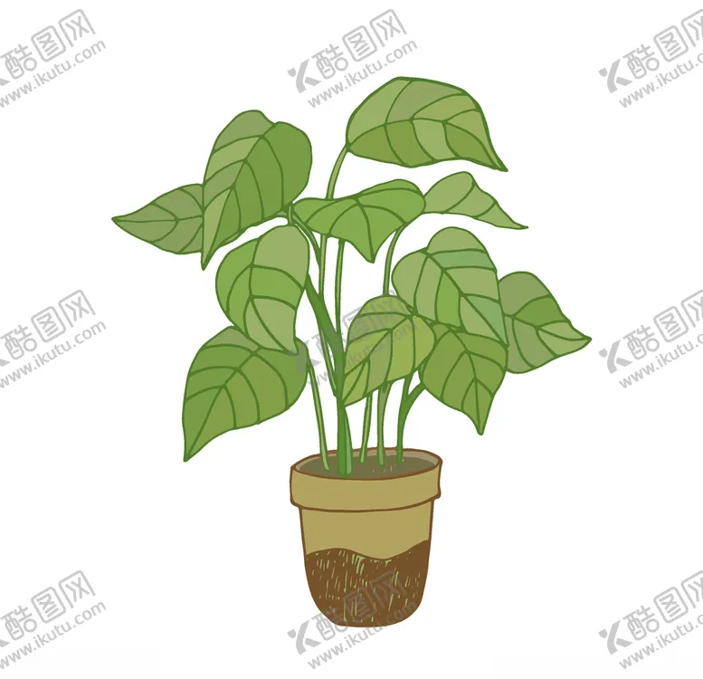 编号：45239706290613112059【酷图网】源文件下载-植物手绘