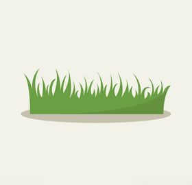 卡通小草