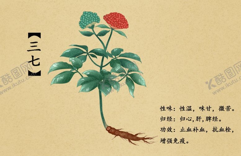 编号：28343102260224076079【酷图网】源文件下载-药材图谱