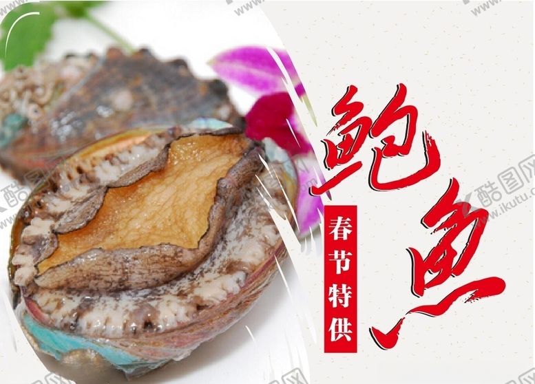 编号：12083910261152206254【酷图网】源文件下载-鲍鱼