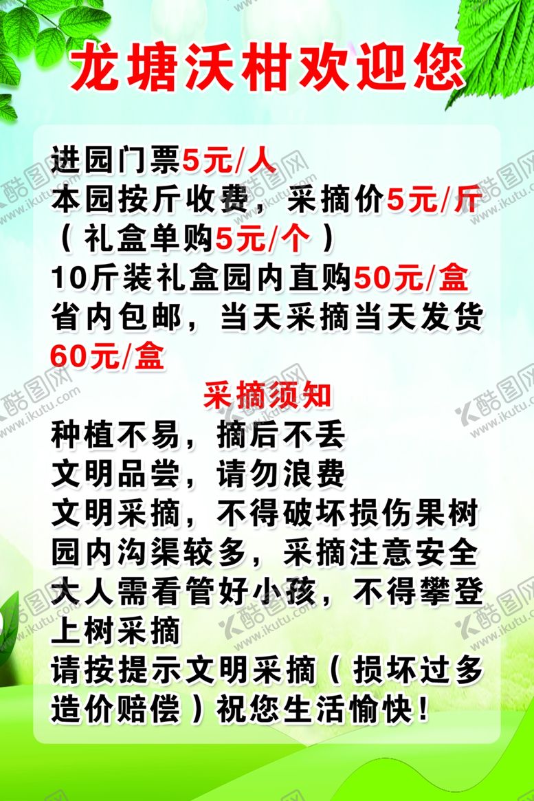 编号：12601104030031401062【酷图网】源文件下载-沃柑