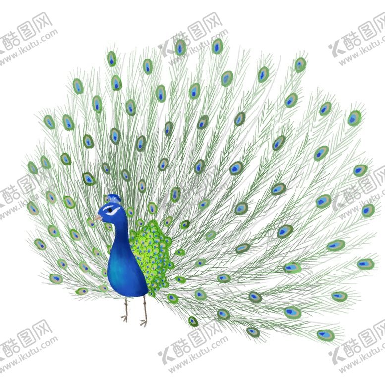 编号：75423109150610273681【酷图网】源文件下载-卡通孔雀开屏动物漂亮