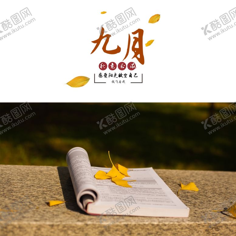 编号：44516205091102491425【酷图网】源文件下载-九月你好