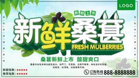 桑葚