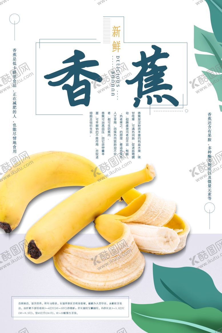 编号：90232207060544033890【酷图网】源文件下载-香蕉