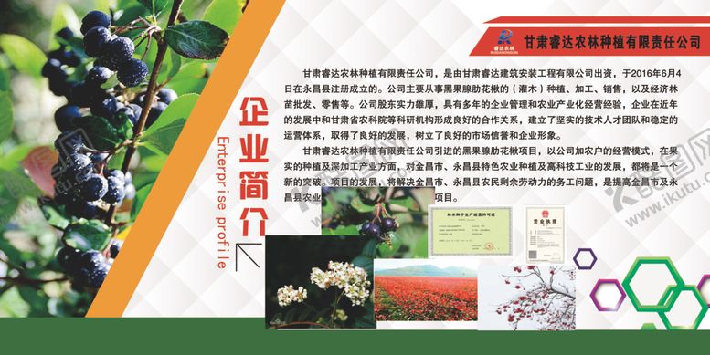 编号：68345104091520352932【酷图网】源文件下载-黑果花楸