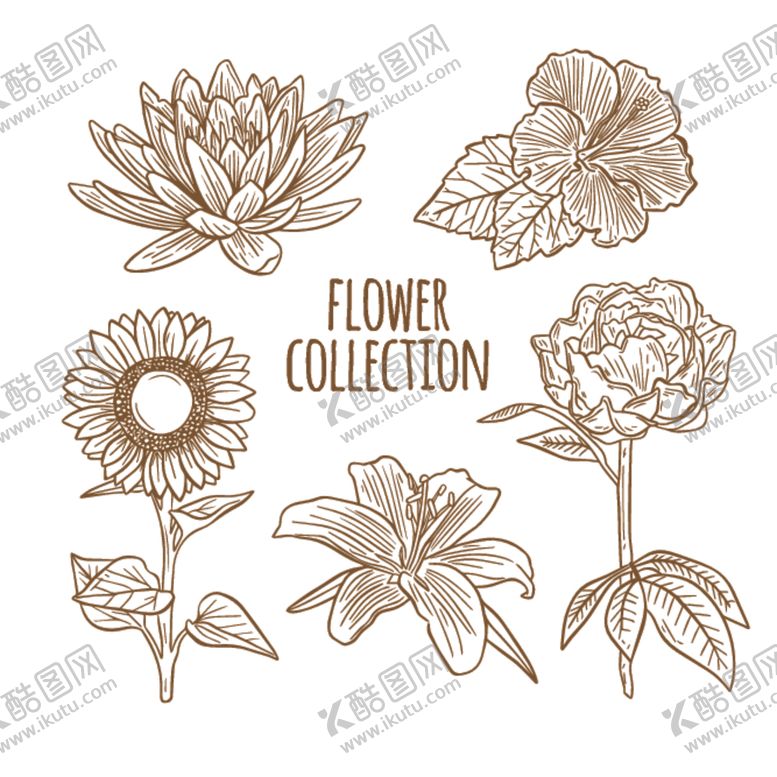 编号：80678509280107562000【酷图网】源文件下载-绿植花卉