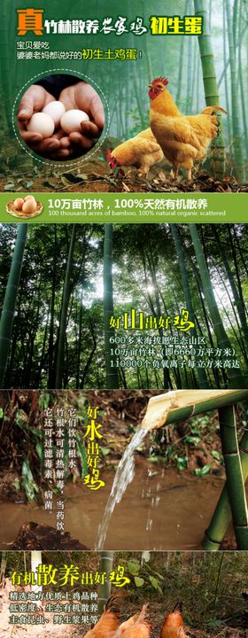 散养土鸡蛋详情页