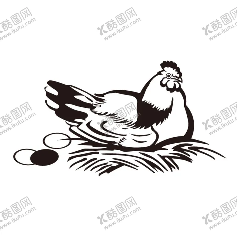 编号：16281712011805496709【酷图网】源文件下载-母鸡下蛋