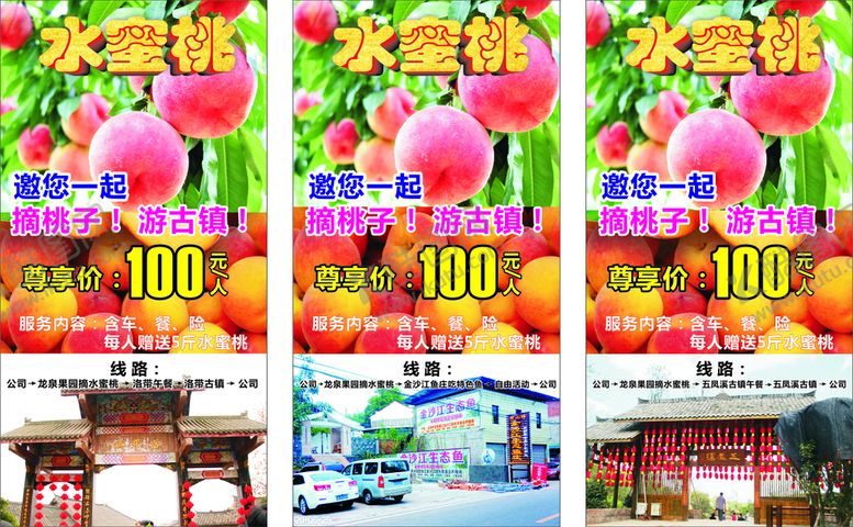 编号：19872202011106111385【酷图网】源文件下载-水蜜桃 海报 桃子 展架