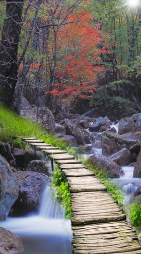 风景玄关