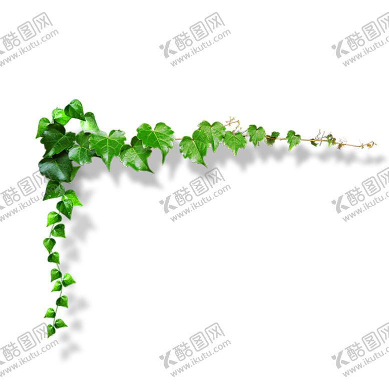 编号：17393207050233159387【酷图网】源文件下载-花边背景