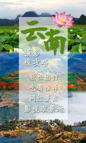 普者黑荷花长图