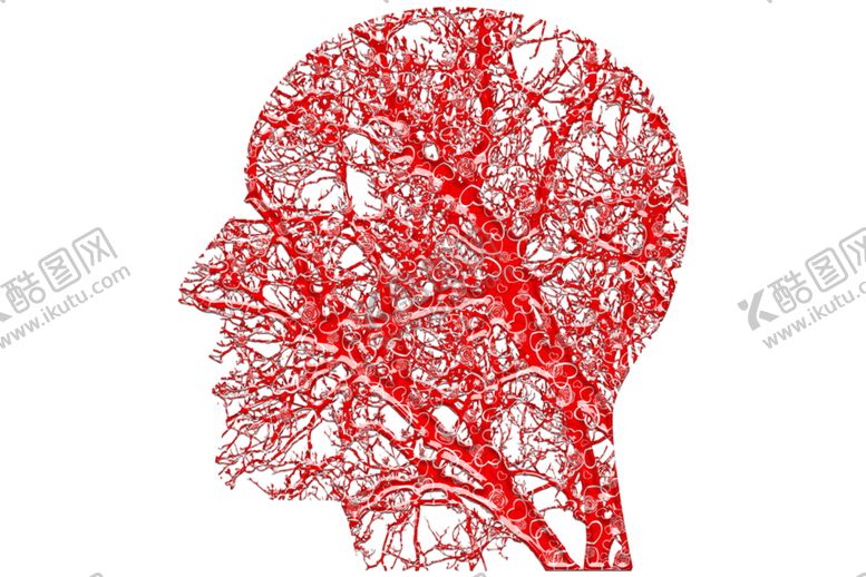 编号：41227910091031066115【酷图网】源文件下载-头颅