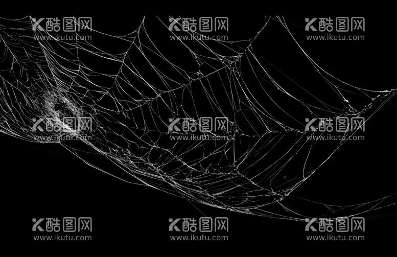 编号：11316111250605583002【酷图网】源文件下载-蜘蛛网