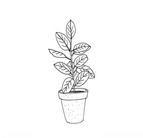 植物线稿
