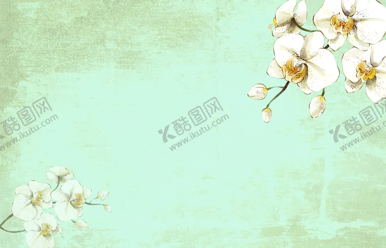 编号：96721810080747493965【酷图网】源文件下载-花卉底纹背景