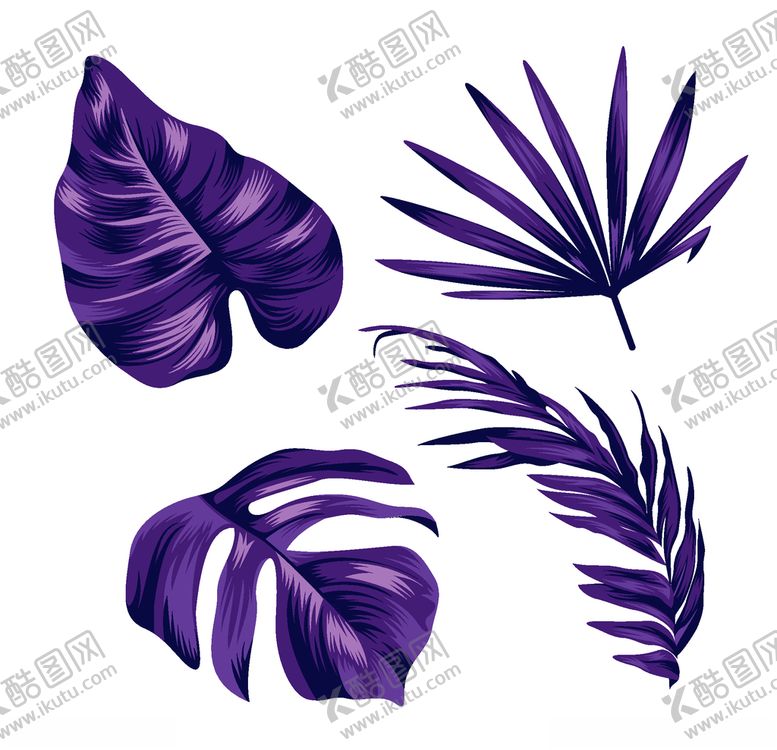 编号：26421906240028594051【酷图网】源文件下载-线条矢量手绘花草植物