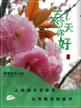 春天你好