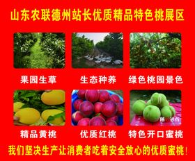 桃子喷绘