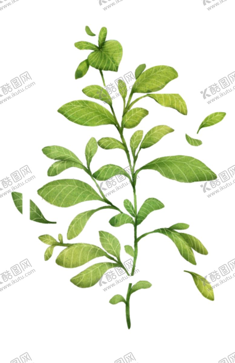 编号：85543105091845431614【酷图网】源文件下载-绿植