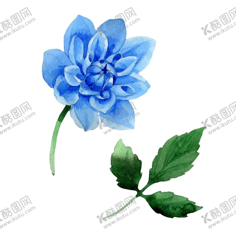 编号：75311210190324062725【酷图网】源文件下载-手绘花卉