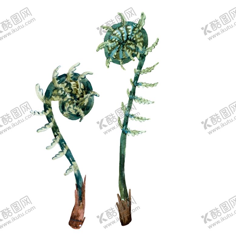 编号：13167505190119013749【酷图网】源文件下载-水彩植物