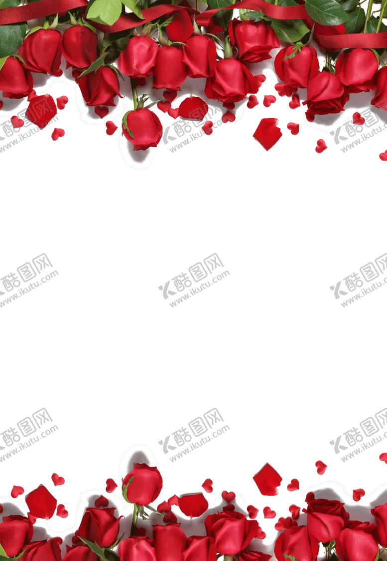 编号：58350107072317312401【酷图网】源文件下载-玫瑰