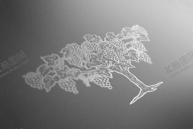 编号：39882311012019509845【酷图网】源文件下载-葡萄树样机