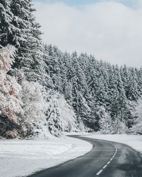 森林雪山插画