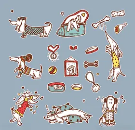 狗狗