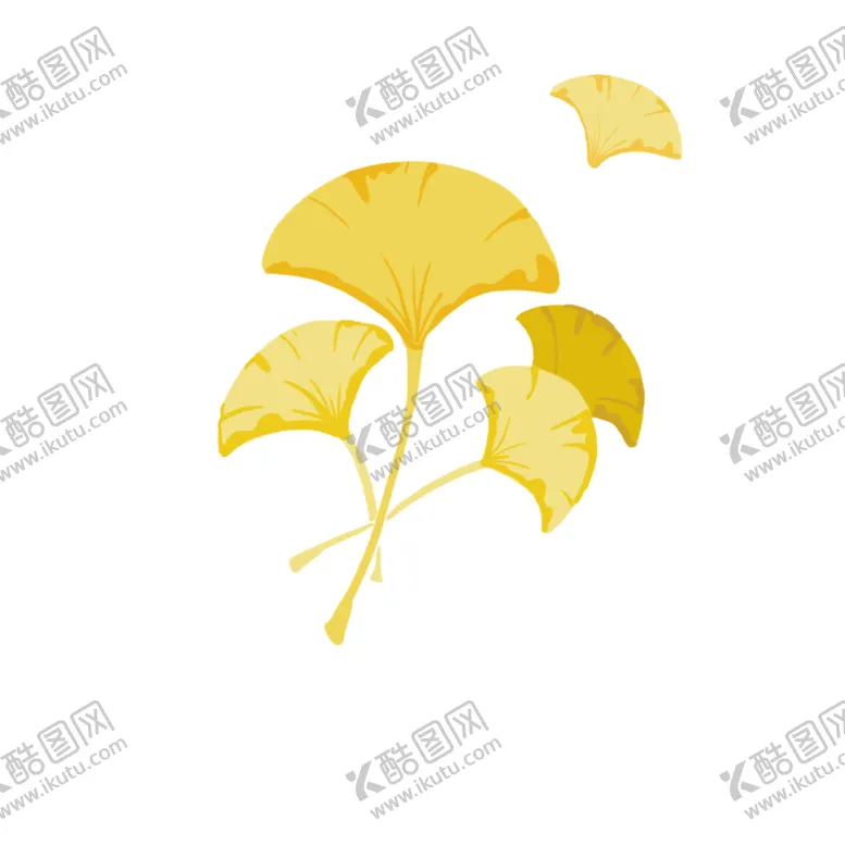 编号：92830306240234518293【酷图网】源文件下载-秋天银杏叶