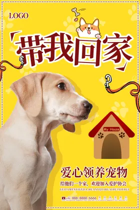 宠物海报