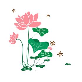 荷花