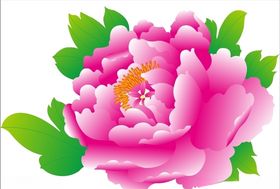 牡丹花上贰