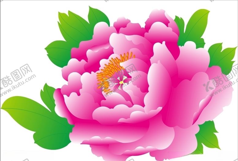 编号：59317705161647452193【酷图网】源文件下载-牡丹花上贰