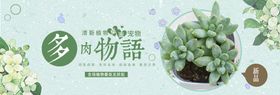 植物图片