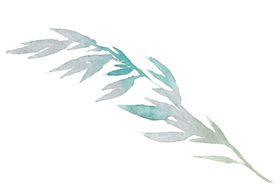 花卉