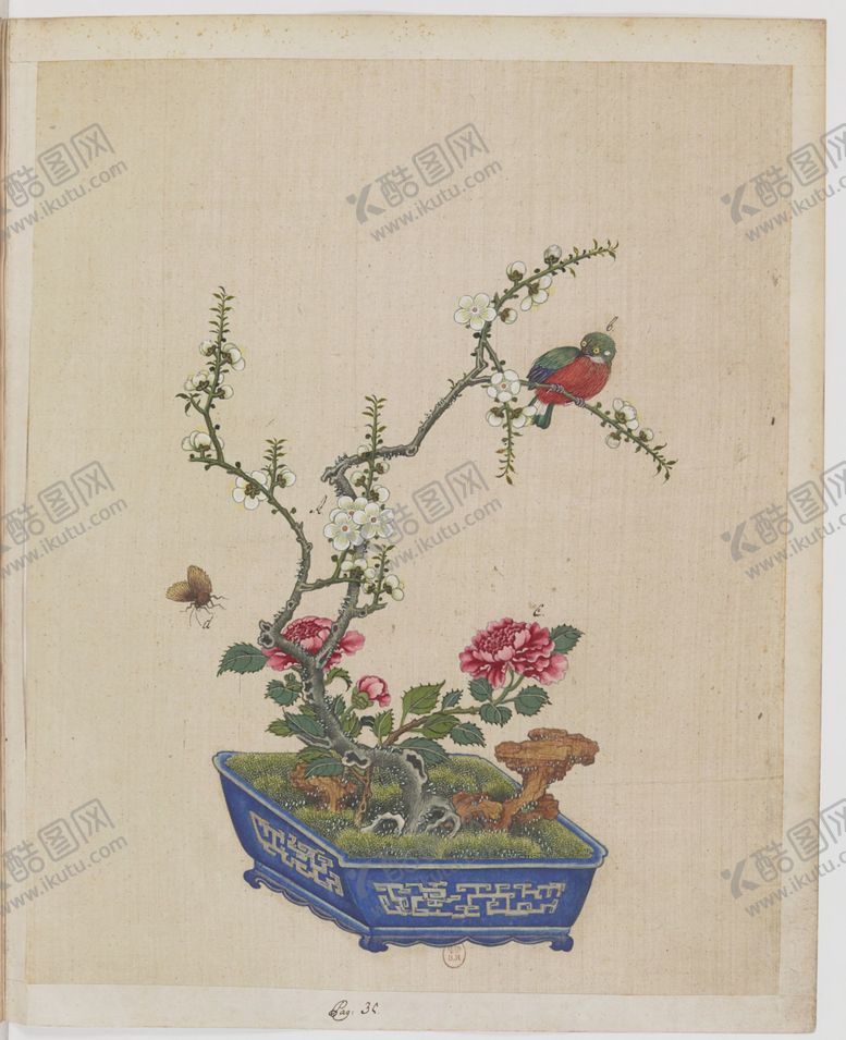 编号：18479204230123478666【酷图网】源文件下载-盆景花鸟