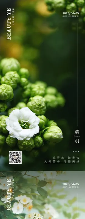 清明节海报