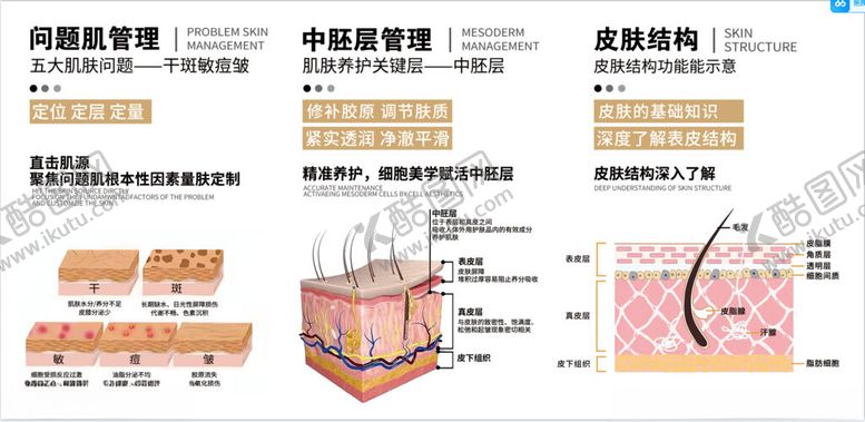 编号：82451801300834411582【酷图网】源文件下载-皮肤分层问题展板