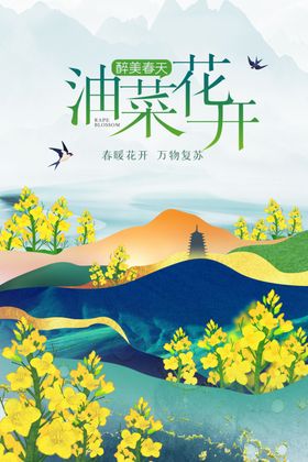 油菜花开