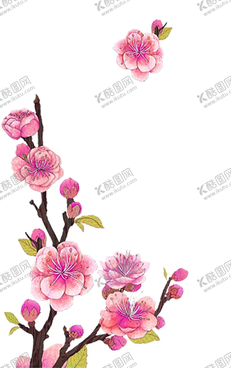 编号：26312802031542265684【酷图网】源文件下载-中国风水墨花卉PNG免扣