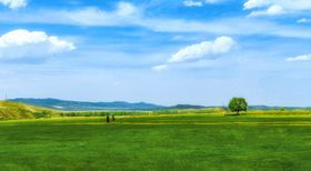 绿色草原风景