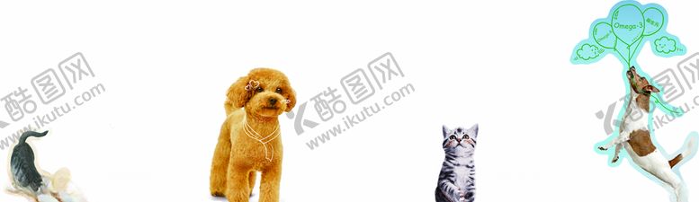 编号：65280010211613499100【酷图网】源文件下载-宠物造型