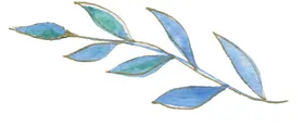 高清典雅花卉PNG素材系列
