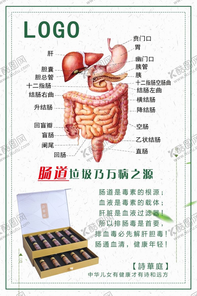 编号：11456710180030337740【酷图网】源文件下载-肠道排毒养护